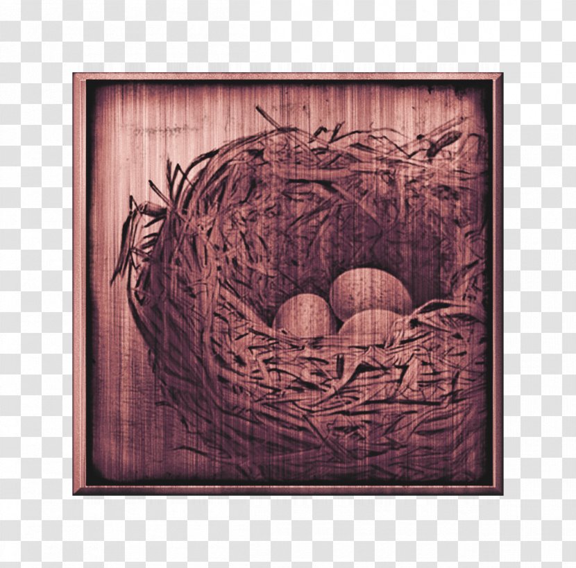 Easter Bird Nest Picture Frames - Frame - Creative On Shuya Transparent PNG