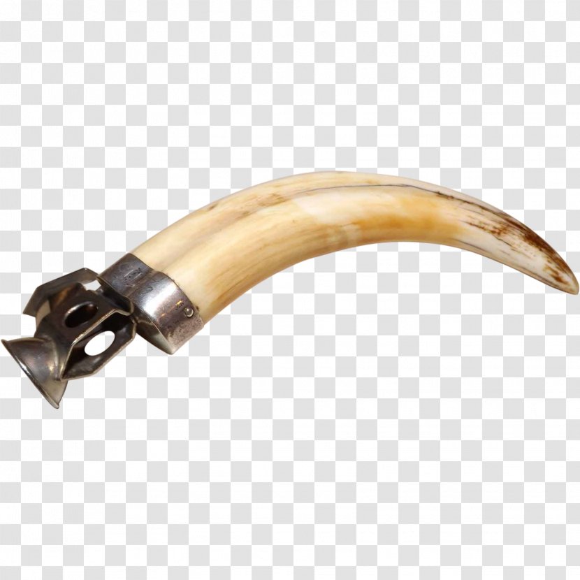 Wild Boar Cigar Cutter Antique Tusk - Tree Transparent PNG