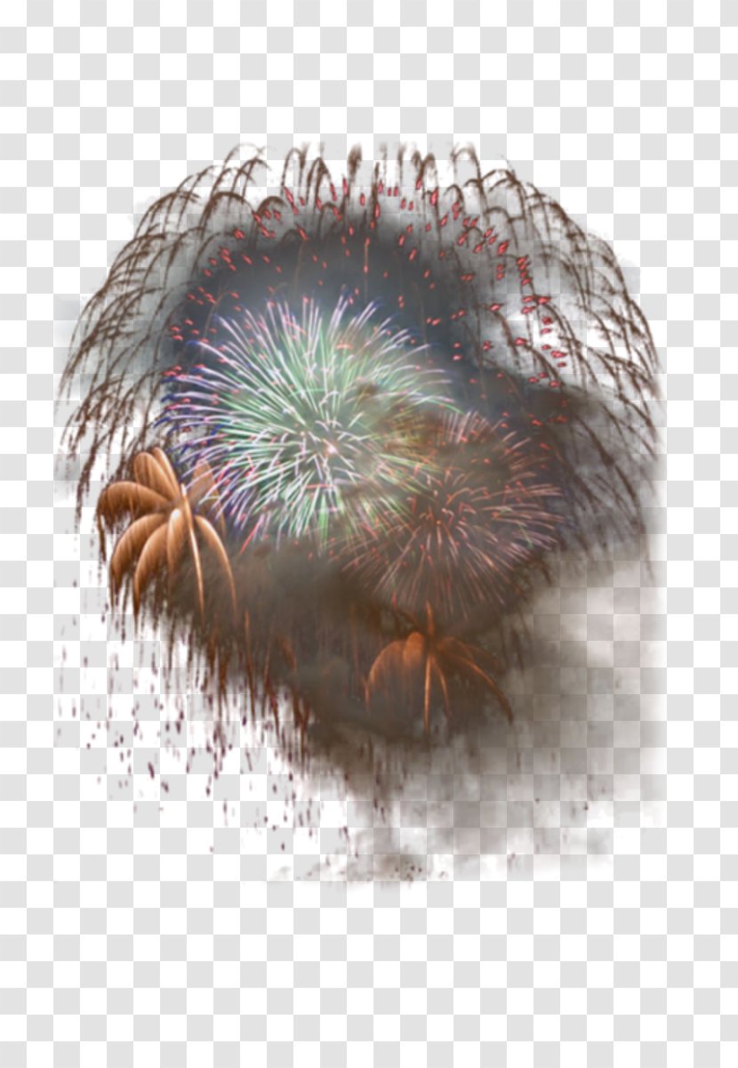 Fireworks Centerblog Alcoholism - Watercolor Transparent PNG