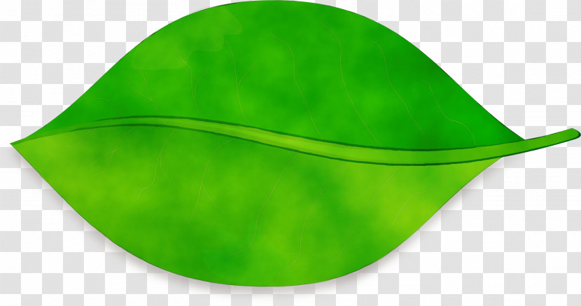 Leaf Green Hat Capital Asset Pricing Model Plants Transparent PNG