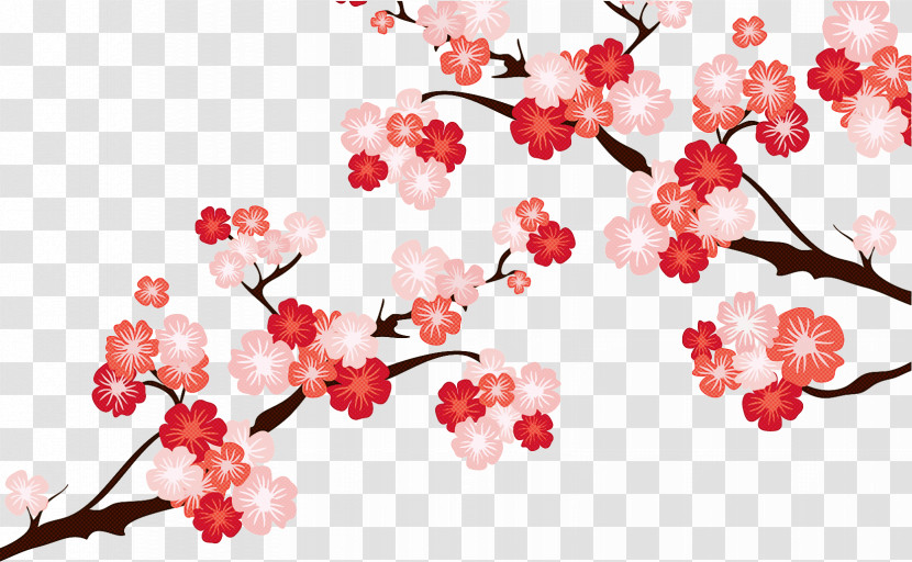 Cherry Blossom Transparent PNG