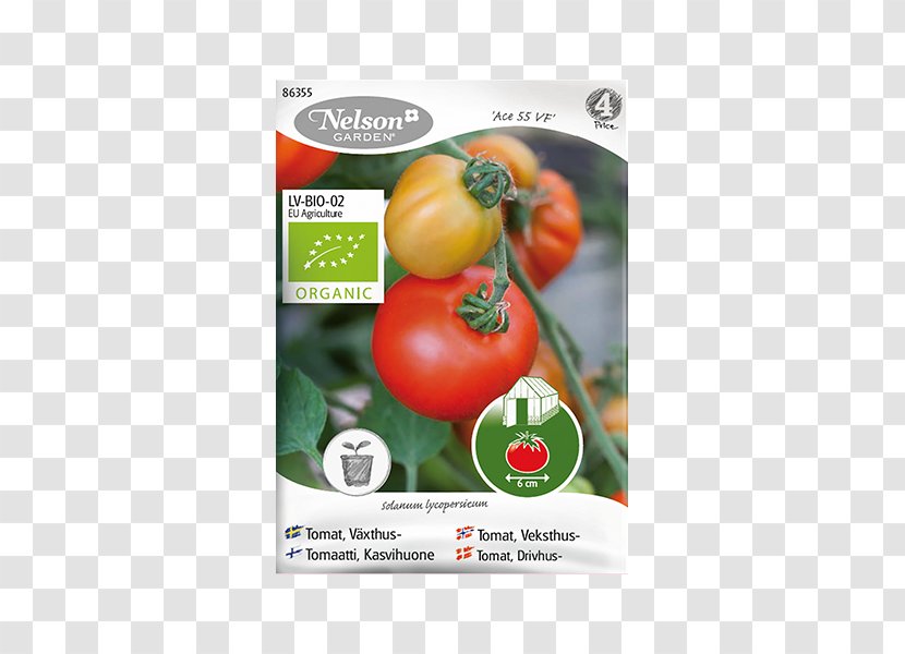 Tomato Organic Food Bruschetta Seed Pea Transparent PNG