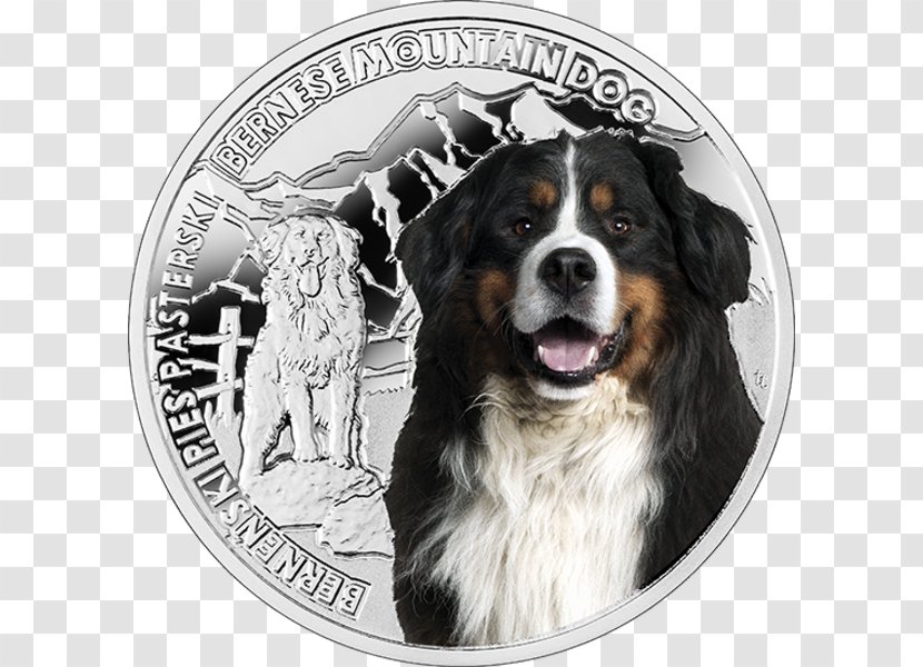 Bernese Mountain Dog Breed Greater Swiss Coin - United States Dollar Transparent PNG