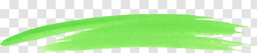 Leaf Grasses Font Line - Watercolor Green Brush Transparent PNG