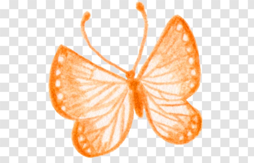 Monarch Butterfly Nymphalidae Petal Danaus - Peach Transparent PNG