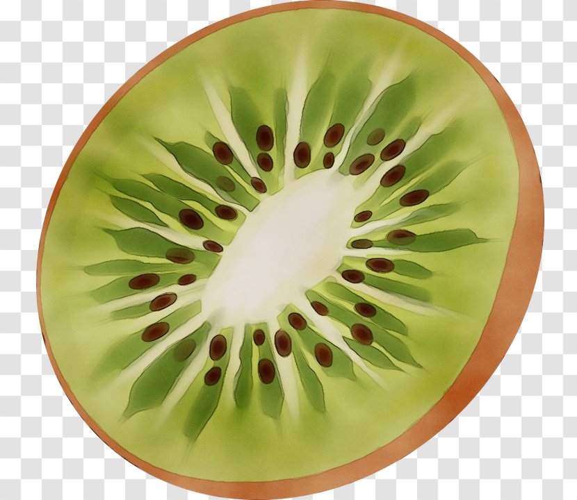 Kiwi - Kiwifruit - Flower Transparent PNG