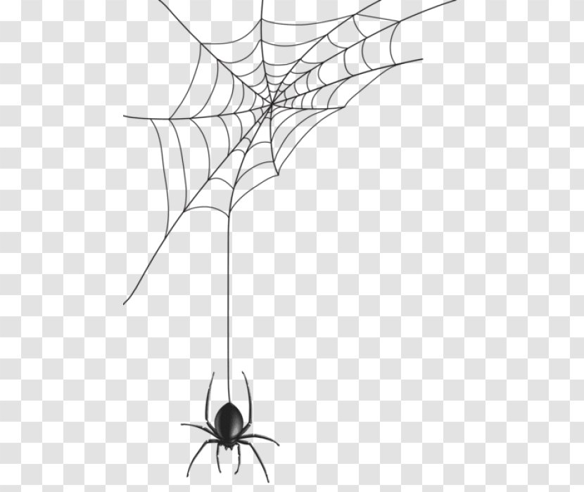 Spider Web Clip Art Image - Royaltyfree Transparent PNG