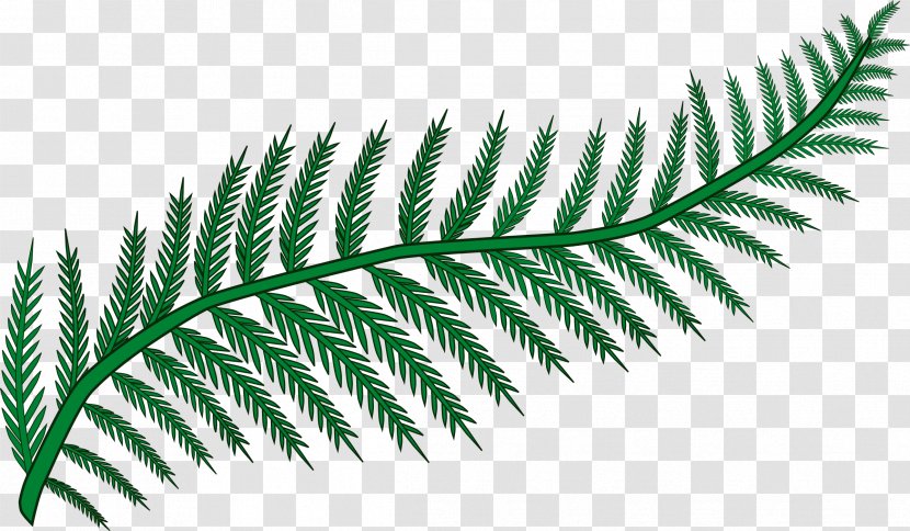 Fern Frond Leaf Clip Art - Osmunda Regalis Transparent PNG