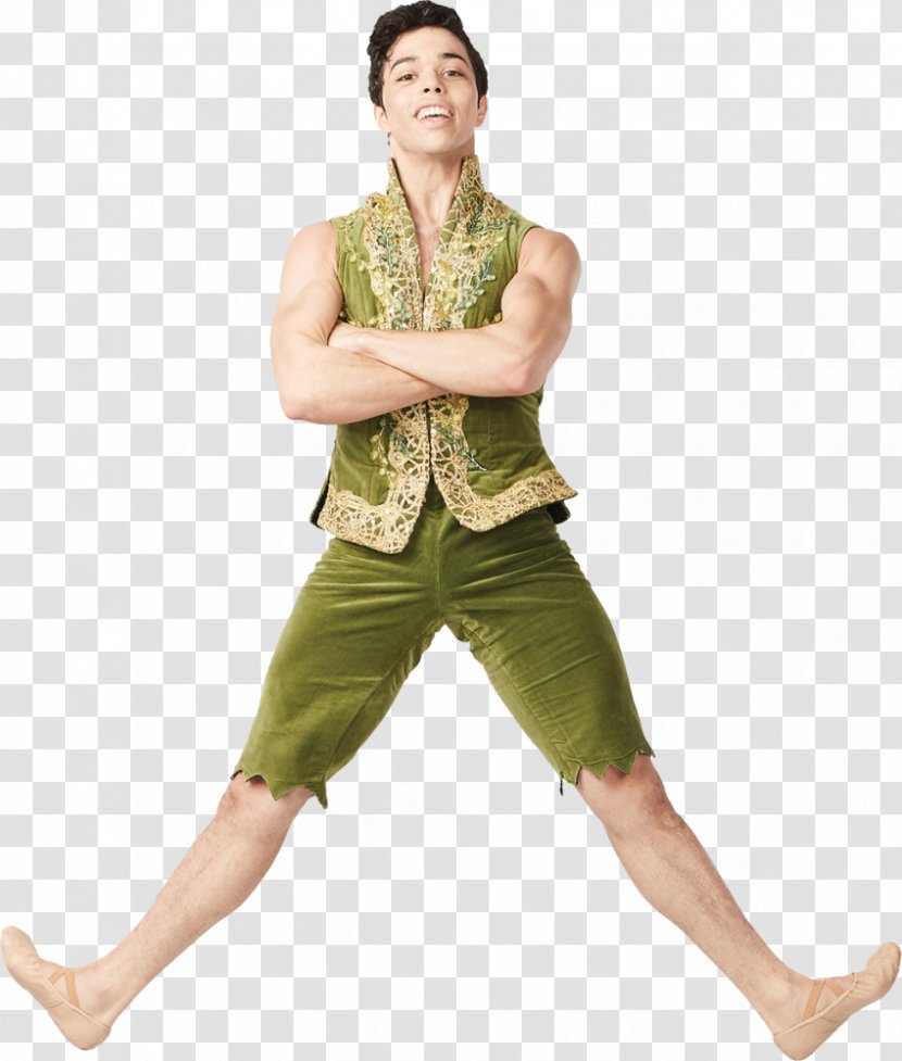 Peter Pan Tinker Bell Captain Hook Theatre Neverland - James Matthew Barrie Transparent PNG