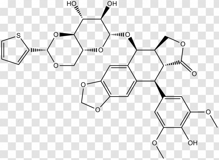 Topoisomerase Inhibitor Teniposide Type II Enzyme - Text - Agonist Receptor Transparent PNG