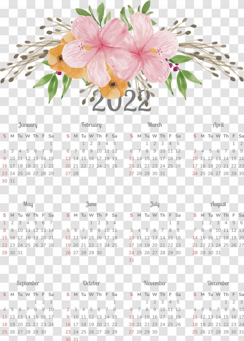 Floral Design Transparent PNG