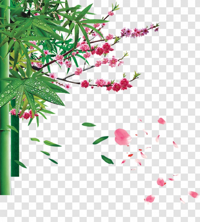 Apricot Download Printing - Pink - Creative Bamboo Blossoms Transparent PNG