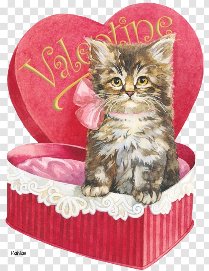 Kitten Cat Whiskers Valentine's Day - Love Transparent PNG