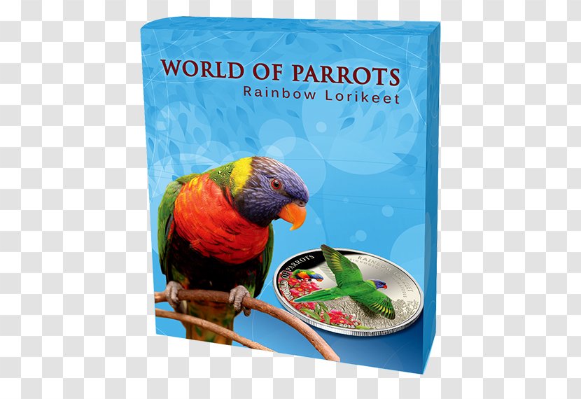 Parrot Macaw Loriini Bird Rainbow Lorikeet - Fauna Transparent PNG