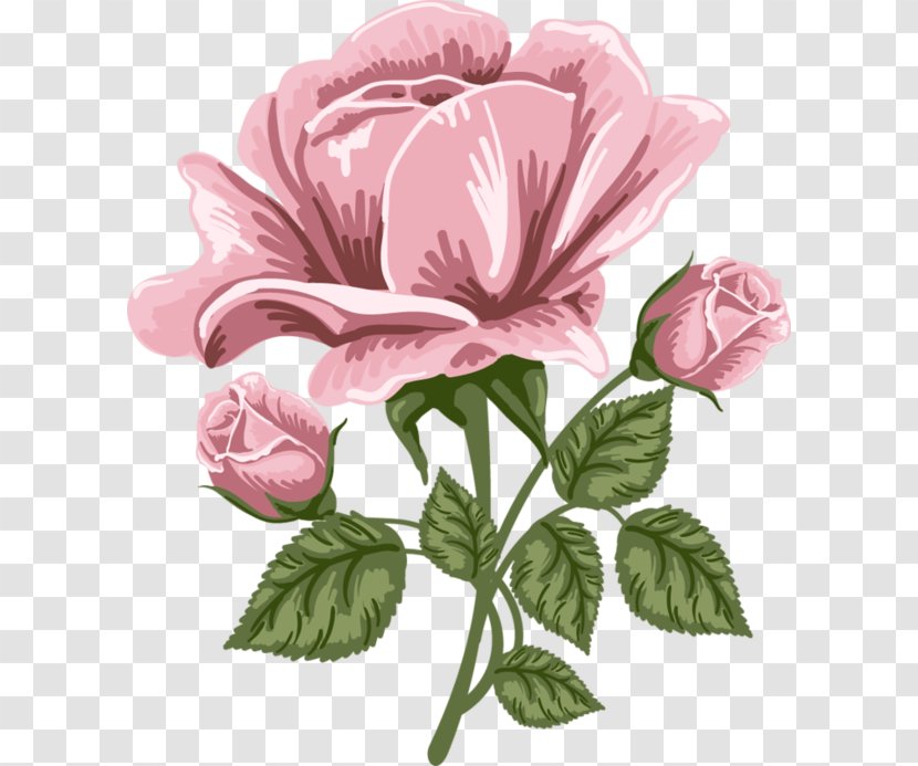 Rose Pink Clip Art - P Nk - Picture Transparent PNG