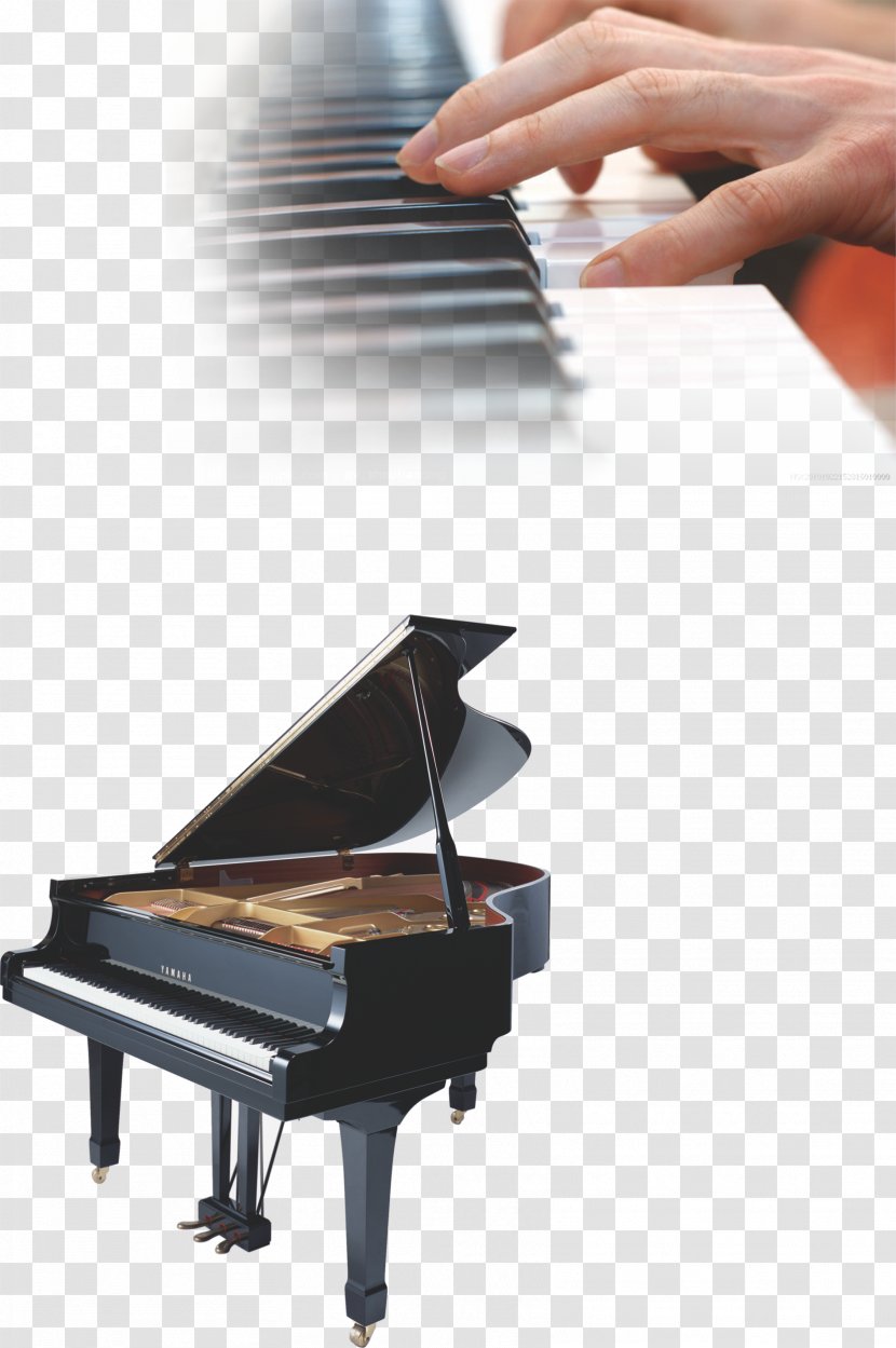 Grand Piano Musical Instrument - Frame - Education Arts Training Transparent PNG