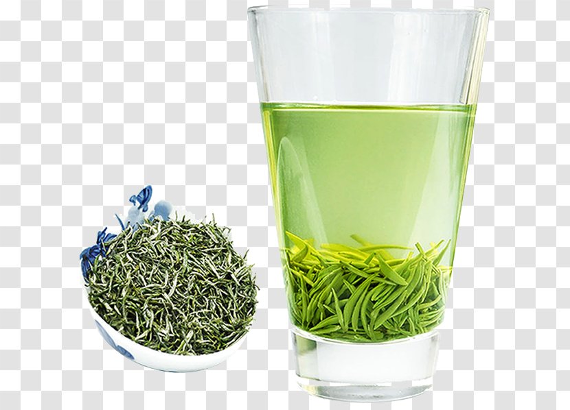 Xinyang Maojian Tea Green Biluochun - Taiping Houkui - Healthy Transparent PNG
