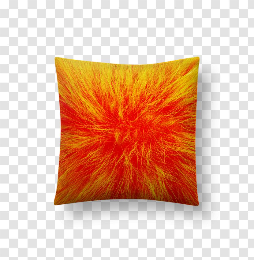 Throw Pillows Cushion Rectangle Dye - Peau D'orange Transparent PNG