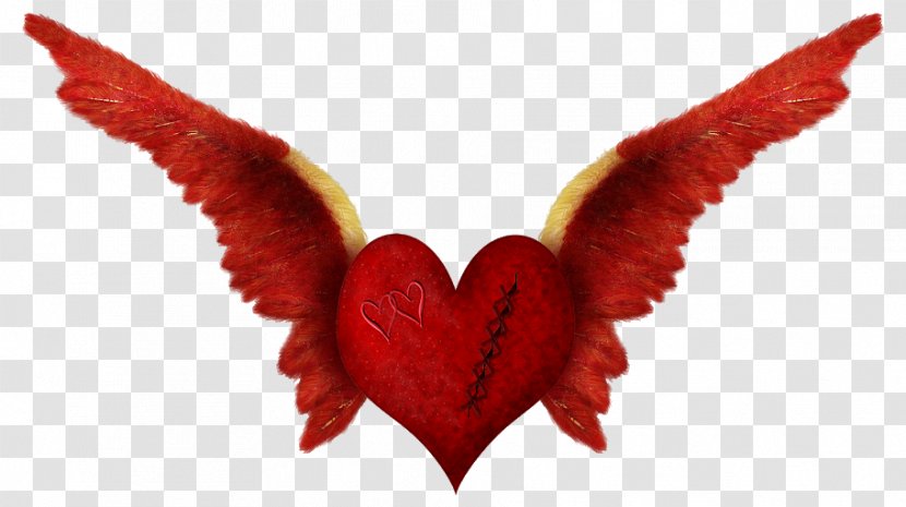 Love Romance Heart - Valentine S Day - Wing Transparent PNG