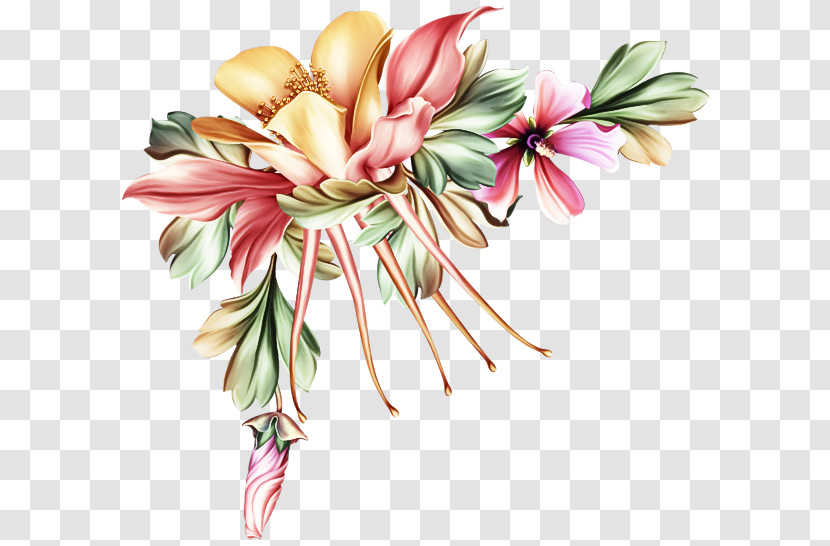 Flower Pink Plant Petal Cut Flowers Transparent PNG