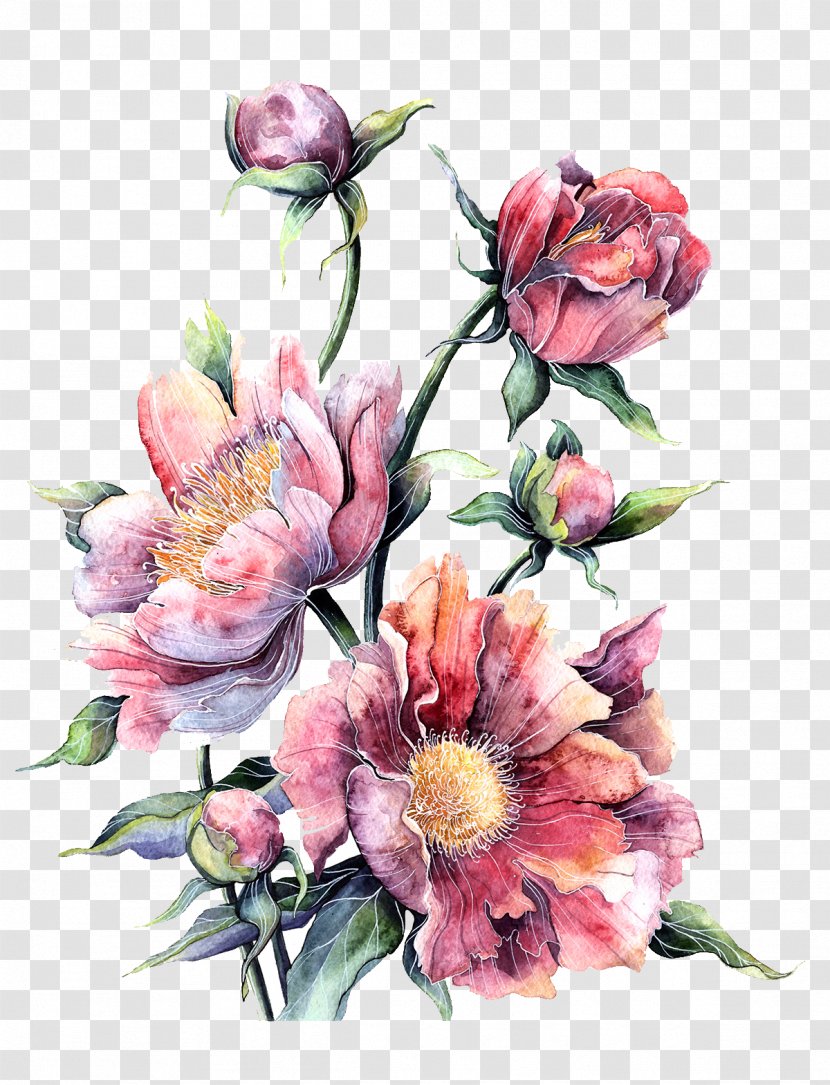 Flower Watercolor Painting Floral Design Printing - Peony - Pink In Full Bloom Transparent PNG
