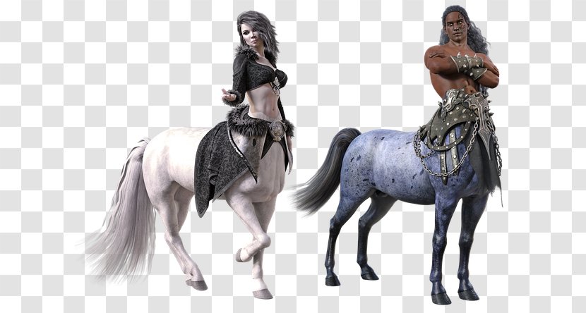 Centaur Horse Chiron Hybrid Beasts In Folklore - Tack Transparent PNG