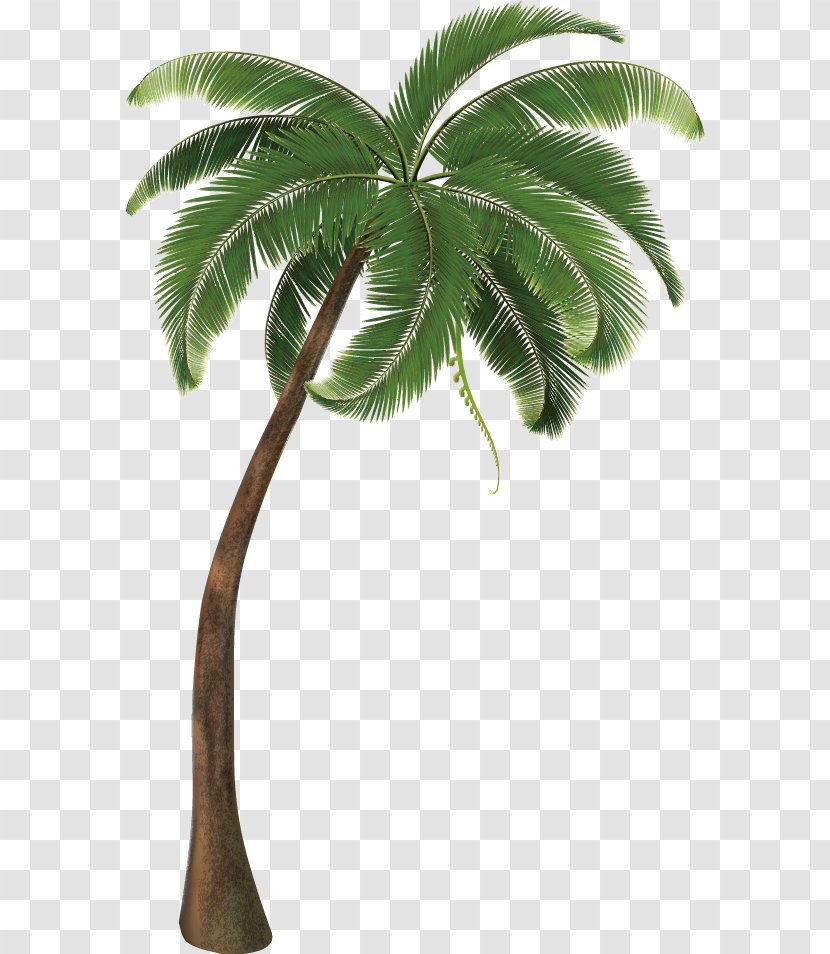 Travel Pack Vacation Icon - Leaf - Coconut Tree Decorative Design Vector Transparent PNG