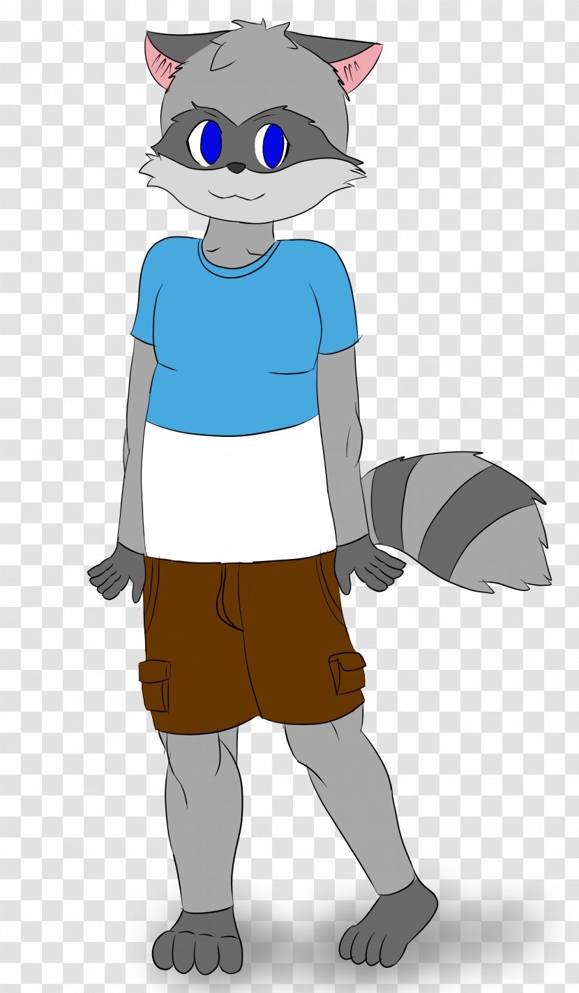 Cat Costume Clothing Mammal - Human - Raccoon Transparent PNG