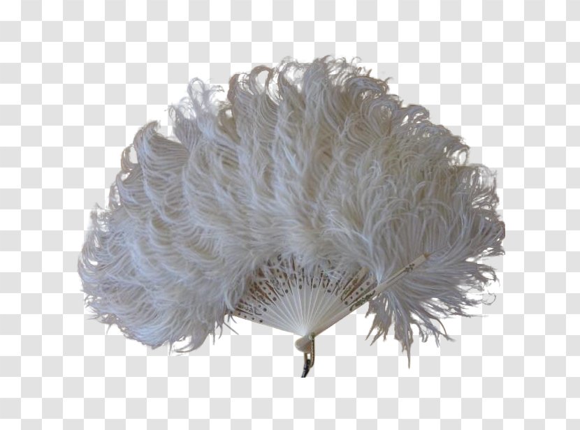 Feather Common Ostrich Dress Clip Art - Effect Background Transparent PNG
