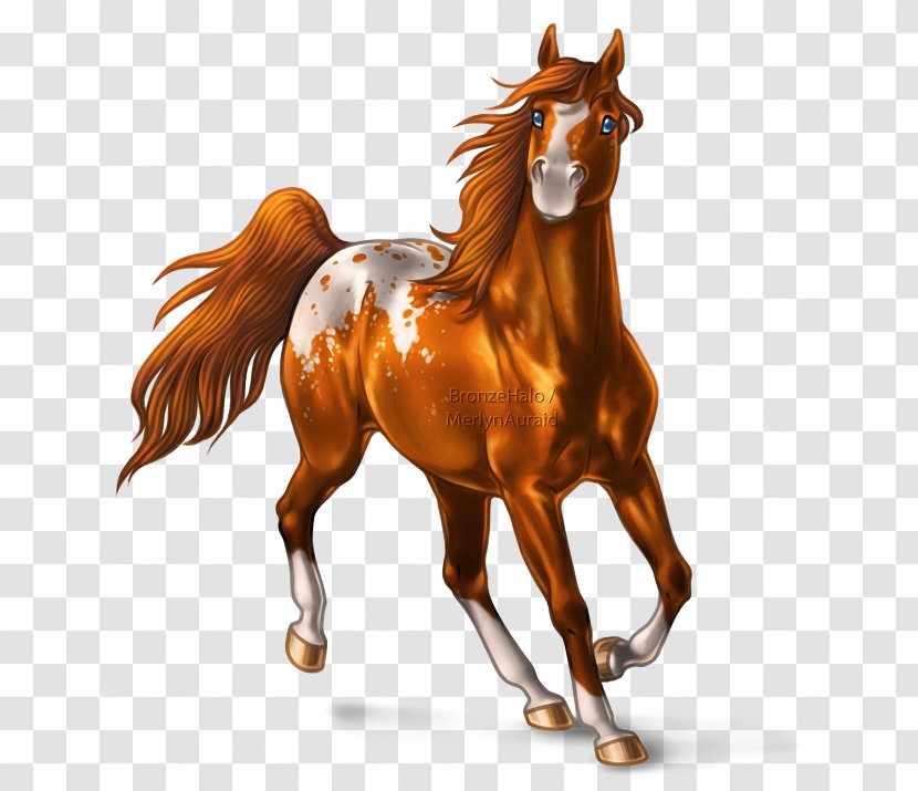 American Paint Horse Mane Mustang Foal Pony - Tack Transparent PNG
