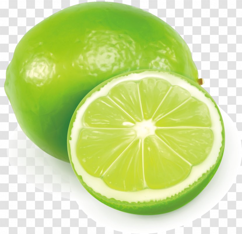 Lemon Juice Fizzy Drinks Cocktail - Lime - Vector Hand-painted Green Transparent PNG