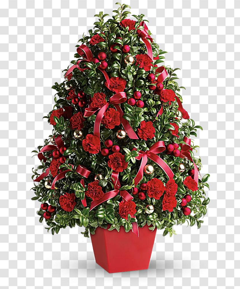 Christmas Tree Floristry Flower Deck The Halls Teleflora - Balcony Box Transparent PNG