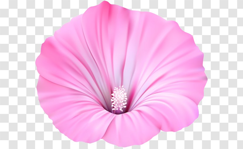 Pink Flowers Violet Purple Clip Art - Blue - Flower Transparent PNG