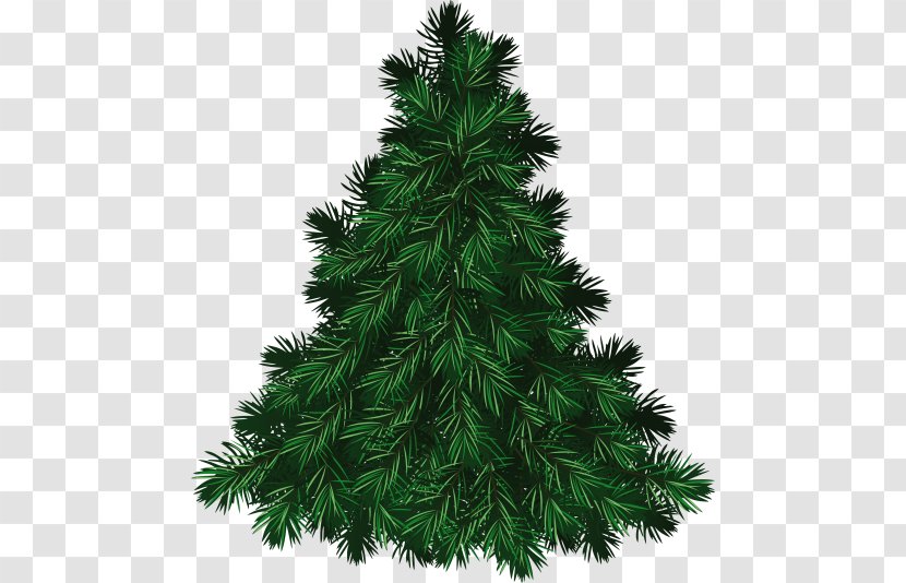 Clip Art Christmas Tree Pine Transparent PNG