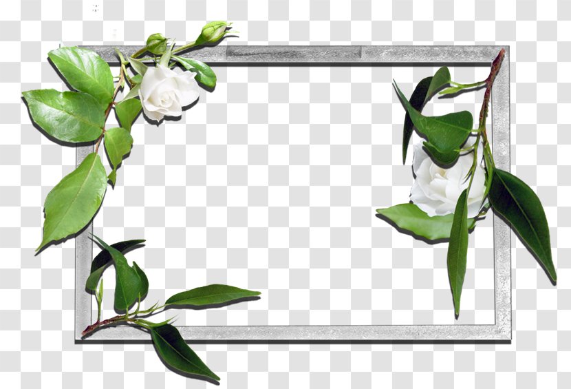 Picture Frames Floral Design Flower - Xi An Transparent PNG