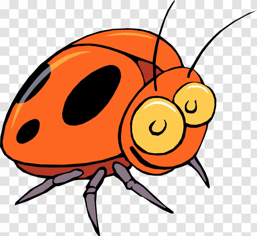 Beetle Clip Art - Scalable Vector Graphics - Cartoon Bugs Cliparts Transparent PNG