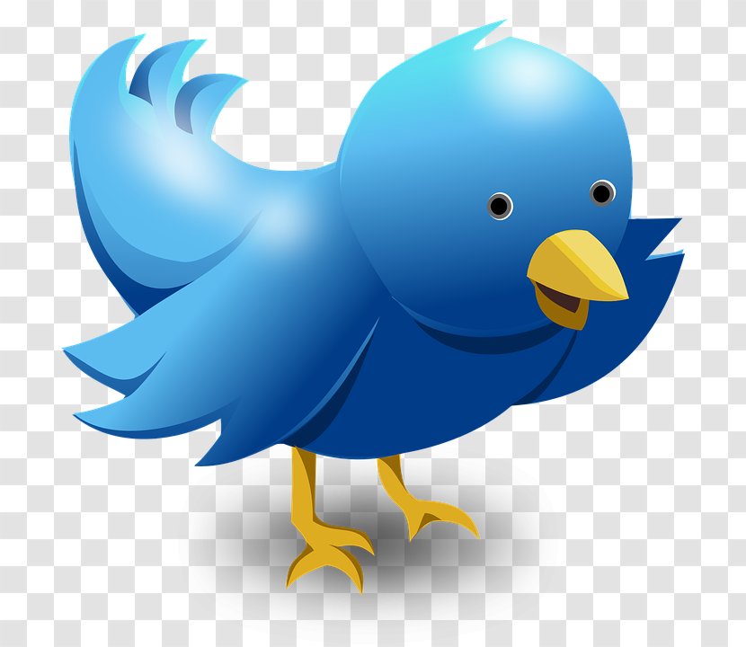 Bird Cuteness Illustration - Rooster - Twitter Logo Transparent PNG
