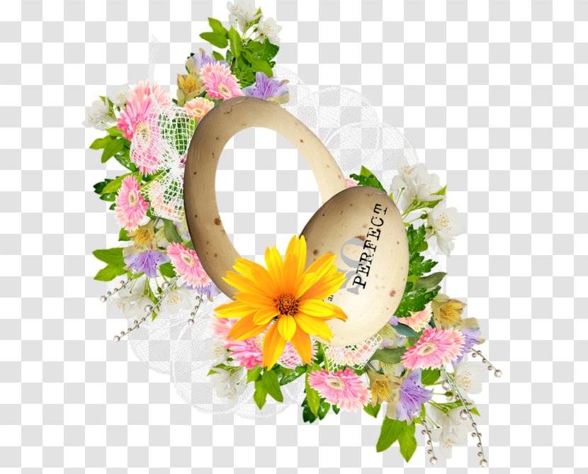 Watercolor Flower Wreath - Transvaal Daisy - Wildflower Transparent PNG
