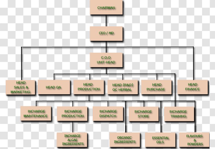 Organizational Chart Business Diagram - Herb Transparent PNG