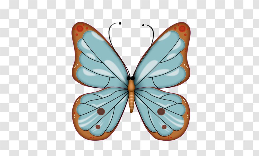 Monarch Butterfly Clip Art - Insect Transparent PNG