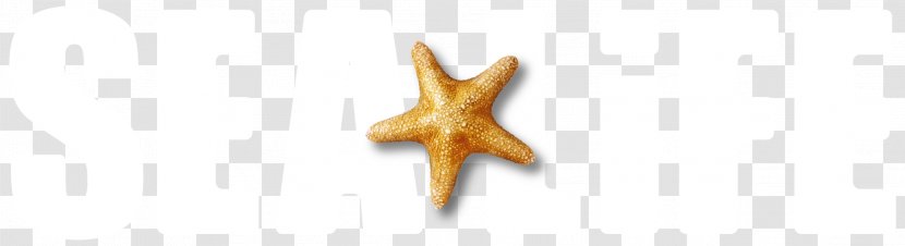 Starfish - Wing - London Eye Transparent PNG