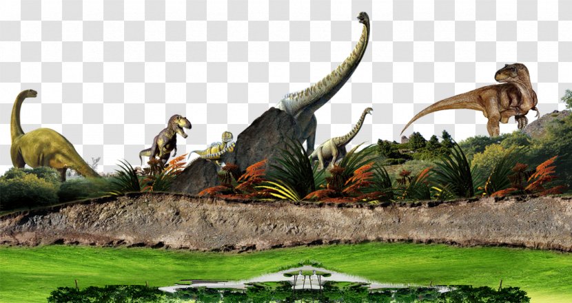 Dinosaur Download - Fauna - Background Transparent PNG