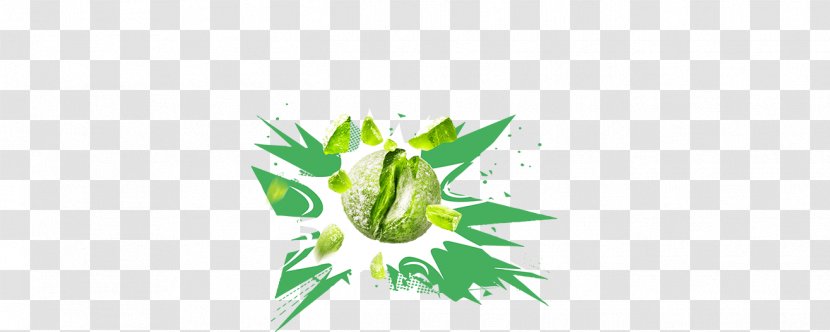 Grasses Plant Stem Logo Clip Art - Flowering - Brutal Transparent PNG