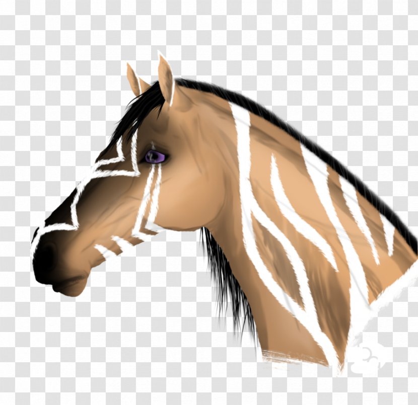 Mane Mustang Stallion Halter - Pony - Head Shot Transparent PNG