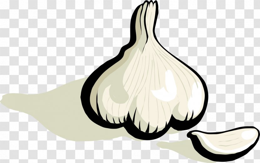 Garlic Bread Onion Clip Art - Bird Transparent PNG