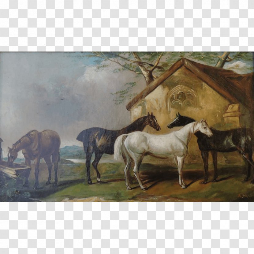 Oil Painting Art Horse - Pasture - Watercolor Transparent PNG