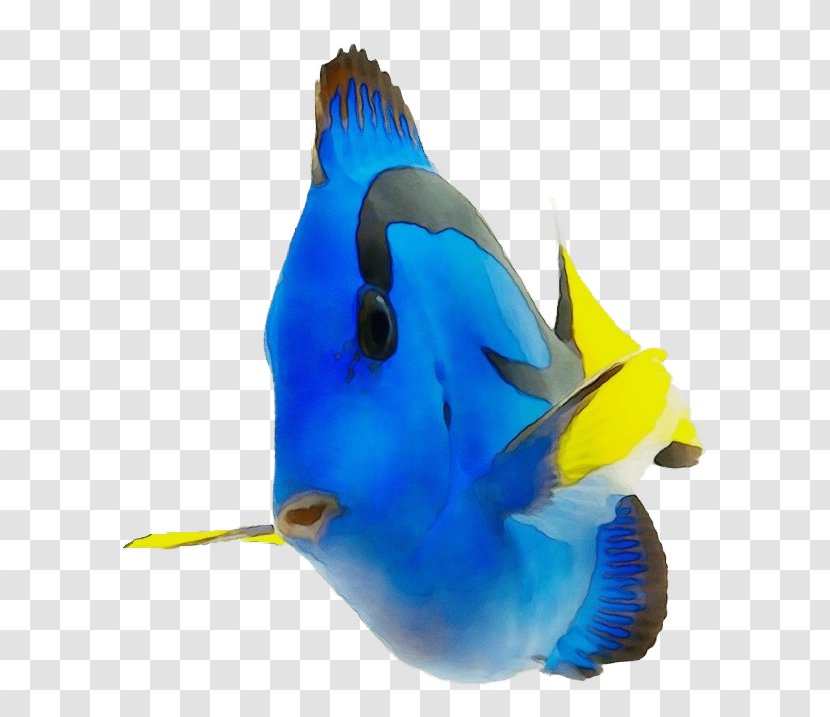 Coral Reef Background - Beak - Triggerfish Fin Transparent PNG