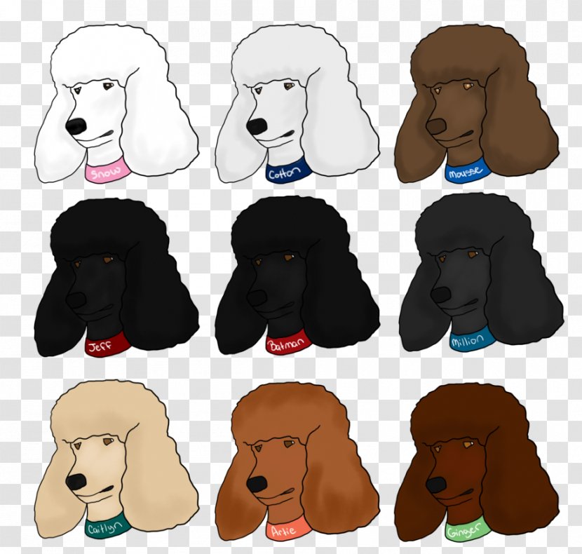 Dog Breed Puppy Spaniel Snout - Mammal - Standard Poodle Transparent PNG