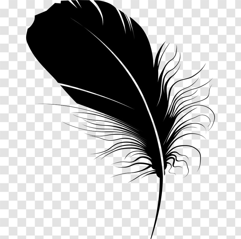 Feather Quill Pen Black - Wing Transparent PNG