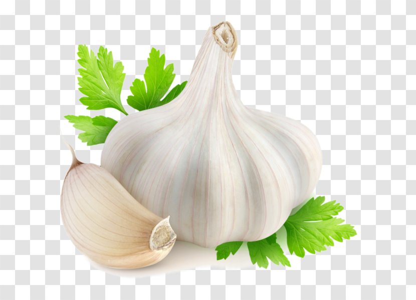 Garlic Herbalism Food Medicine - Therapy Transparent PNG